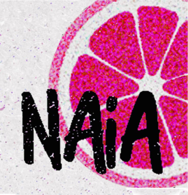 logo Naia